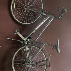 Trek FX 2 Women's Stagger With Topeka Baby Seat