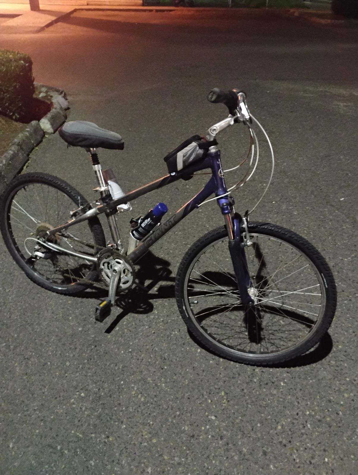 Giant Sedona Mountain Bike