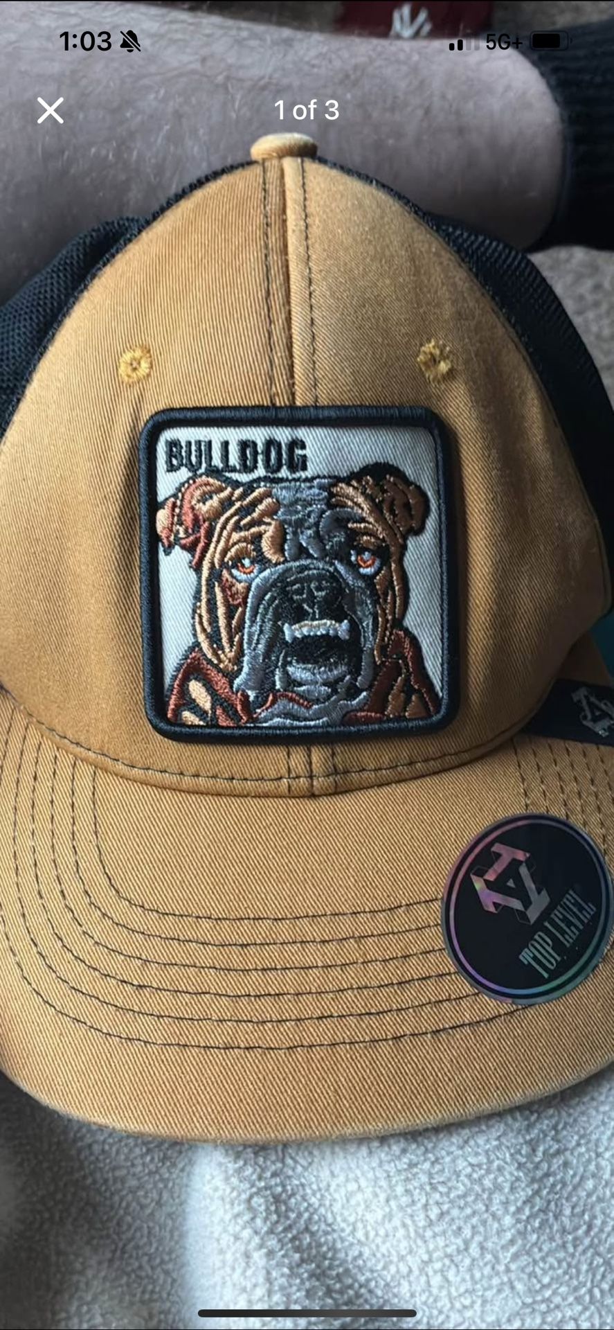 Bulldog Hat 