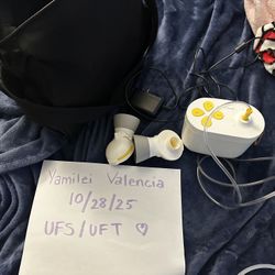 Medela Pump In Style