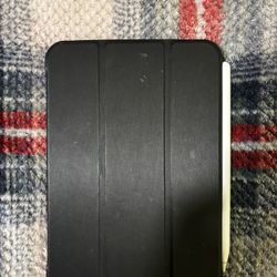 iPad Mini W/ Apple Pencil