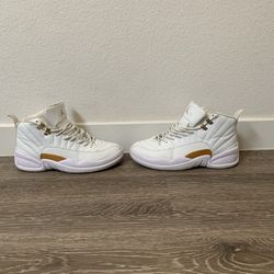 Jordan 12 