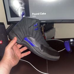 jordan 12 dark concord 