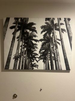 Canvas Art