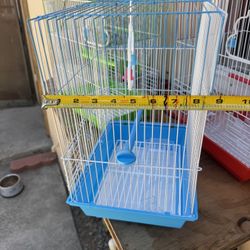 Bird Cage 