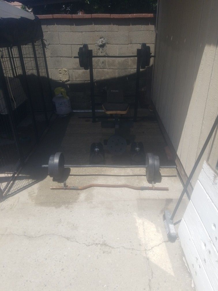 Workout Bench With All Weights Included