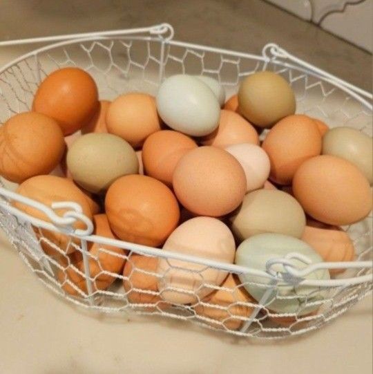 Fresh Eggs. Huevos Frescos