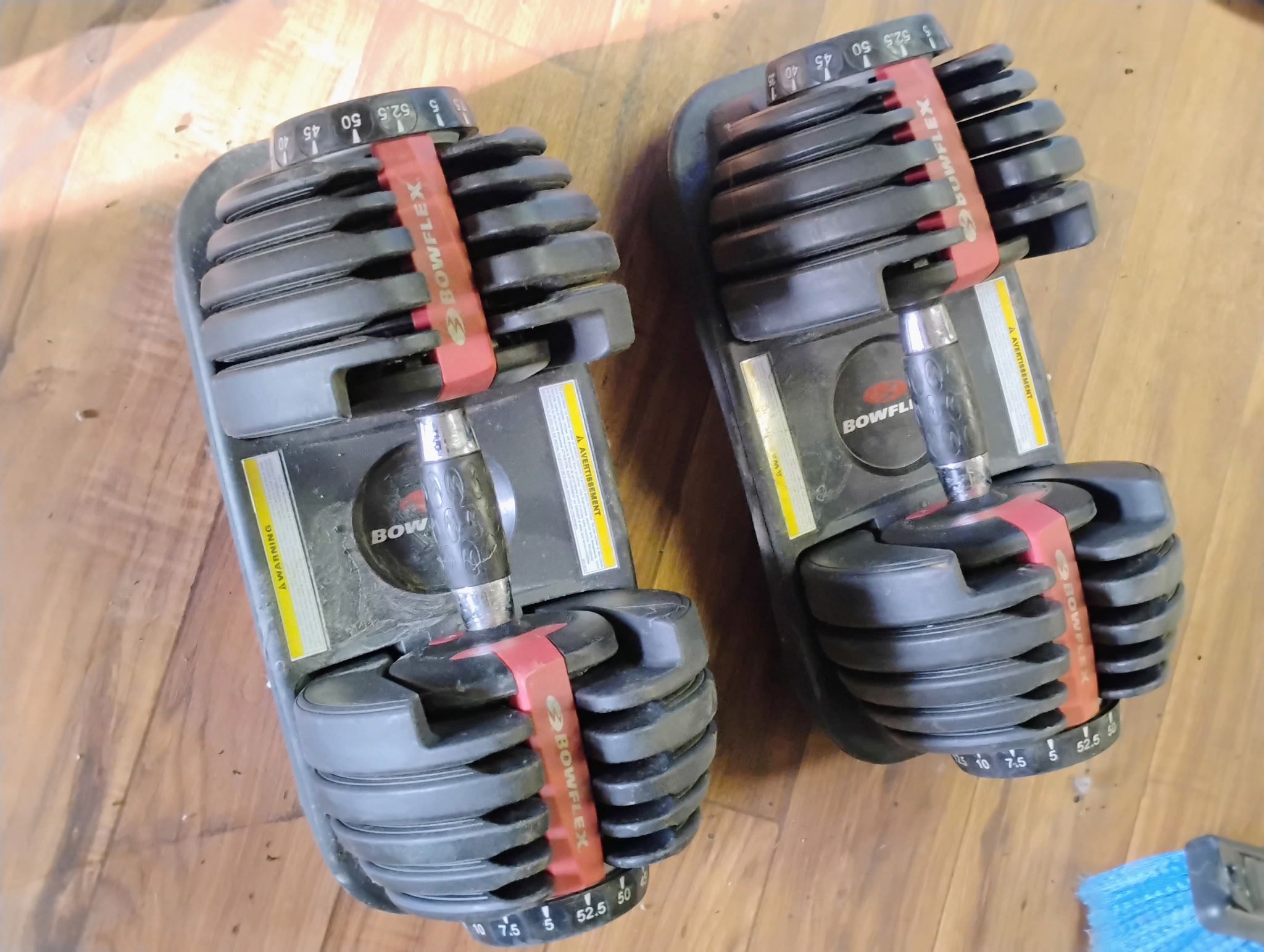 Adjustable Dumbbells