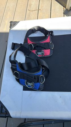 Joyride Harness -Red - 10.00 
