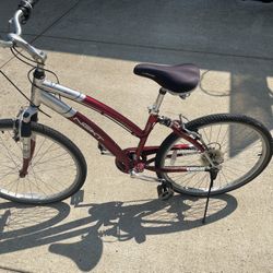 25” Rim  Bike