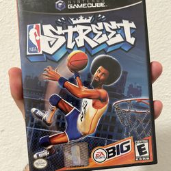 NBA Street Video Game 