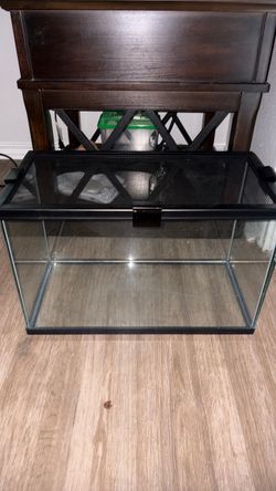 10 gallon tank
