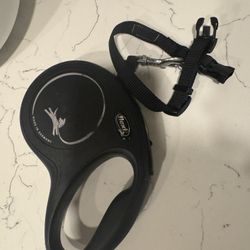 Dog Leash Medium