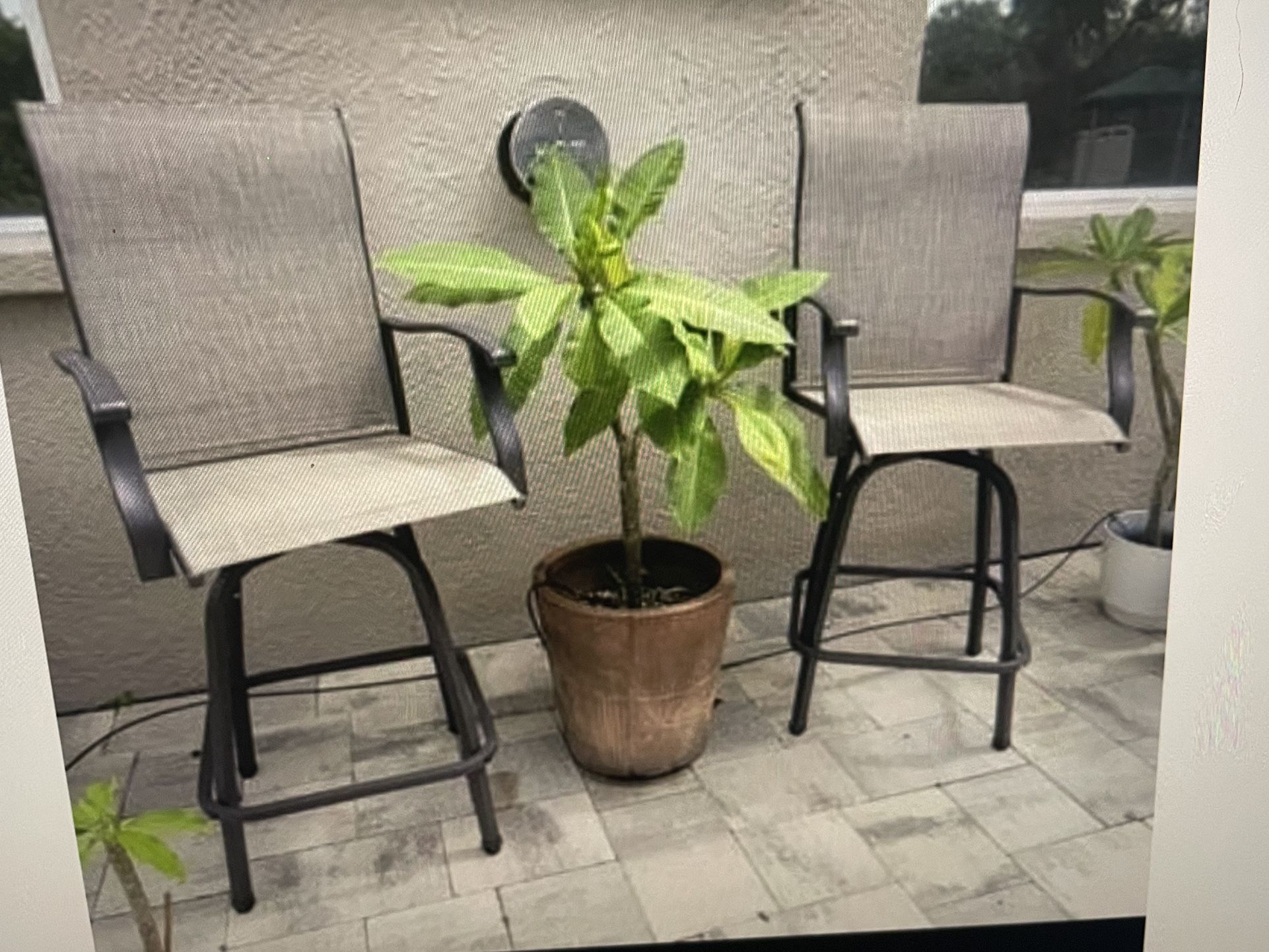 2 New Tall Patio Chairs