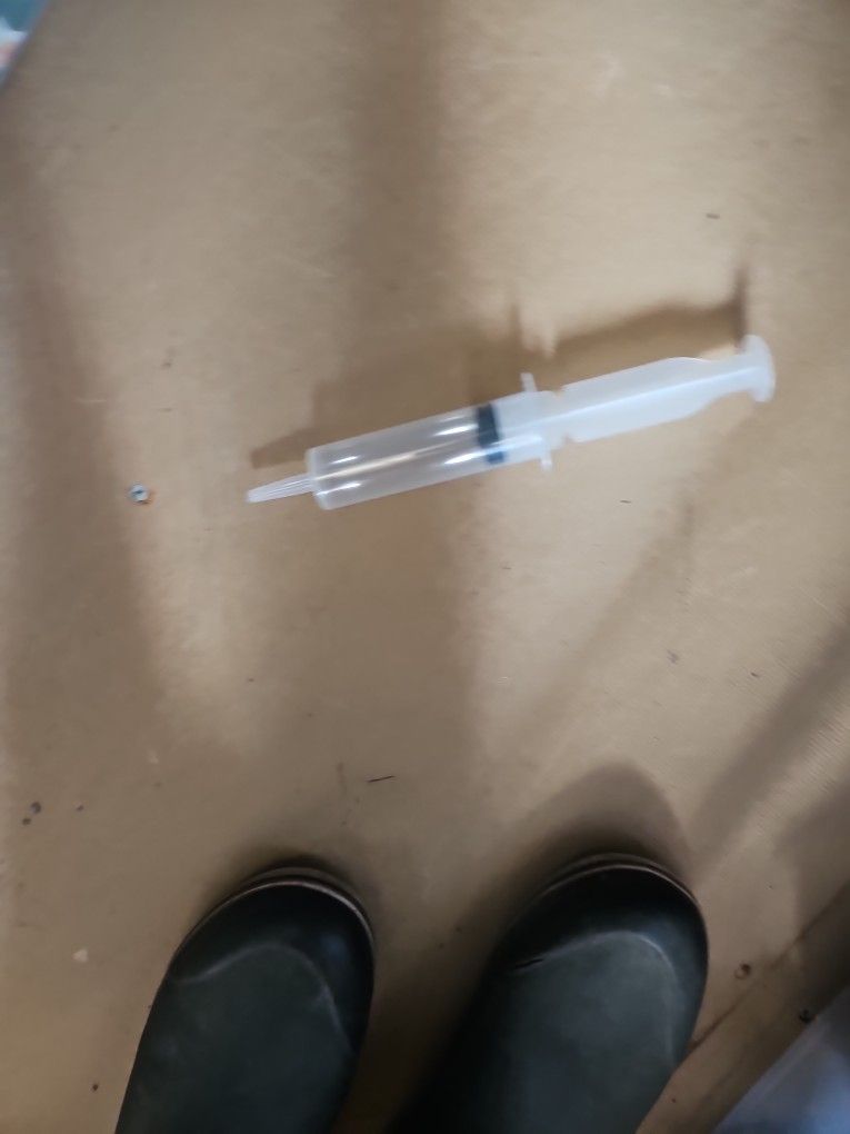 Jello Shot Syringes