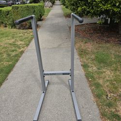 Body-solid Dip Station 