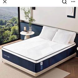 Individually Pocketed Spring Support And Comfort Sleep 