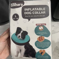 Dog Collar 