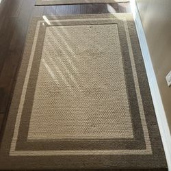 Tan Area Rug