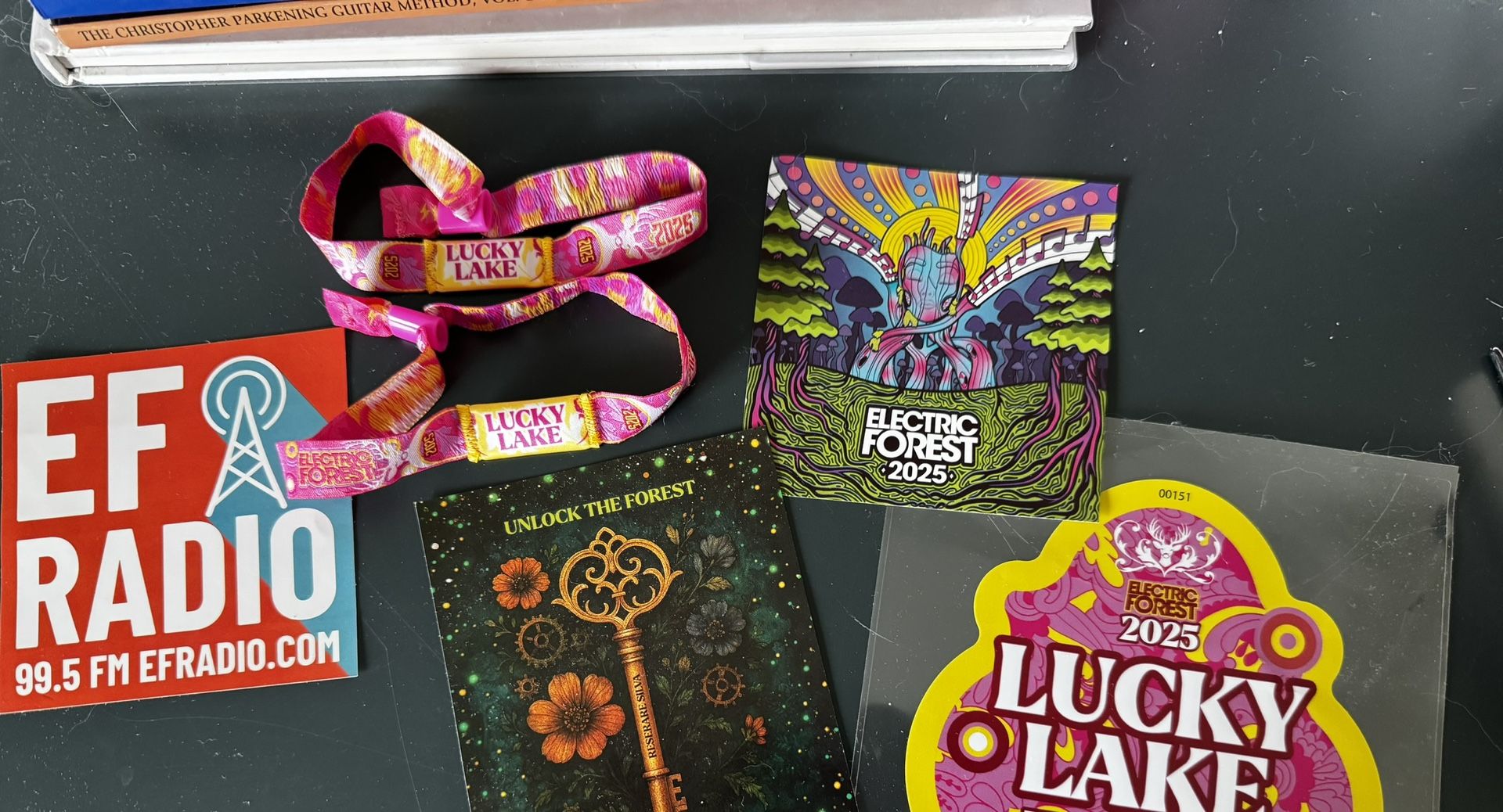 Two Electric Forest Lucky Lake Ticket plus camping