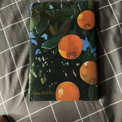 LANA DEL REY BOOK