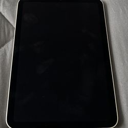 iPad Mini Starlight Color