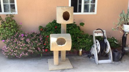 Cat  house 🏠 🐈 🐱