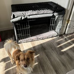 Dog Crate 36 Inch With Cover 
