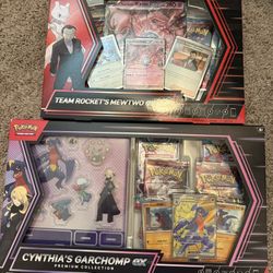 Team Rocket Mewtwo and Cynthias Garchomp