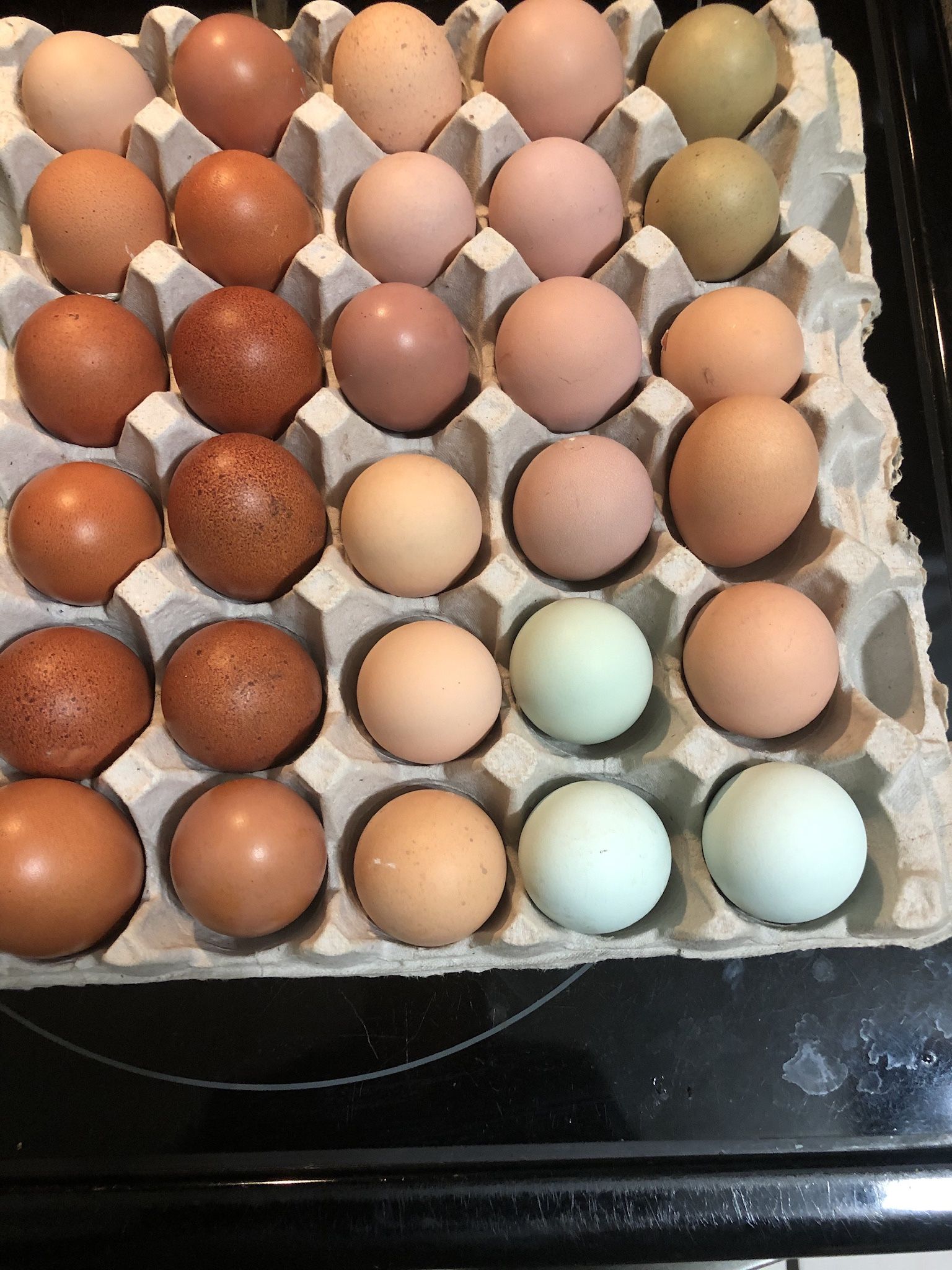 Organic Eggs