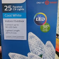 Cool White Outdoor Christmas Lights 