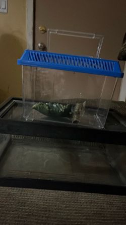 Aquarium