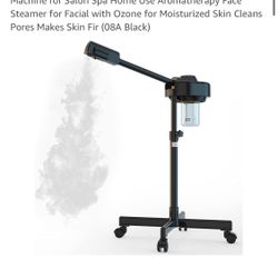 Facial Steamer