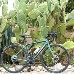 Trek Emonda SL5 Size 50