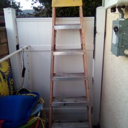 6ft Ladder