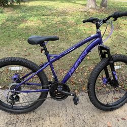 Huffy Mountain Bike Purple 