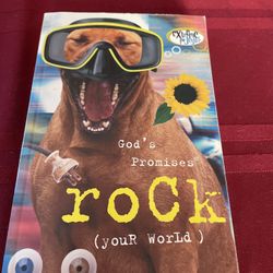 God’s Promises Rock (your world)