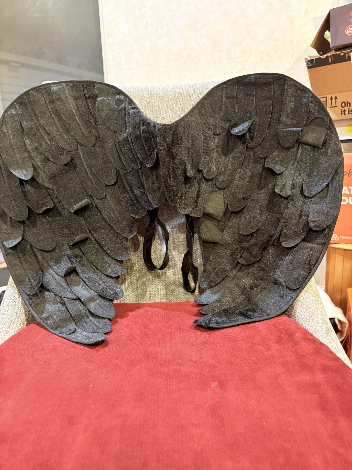 Halloween Feather Fairy Angel Wings