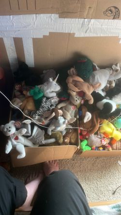 Lots of beanie babies in good condition