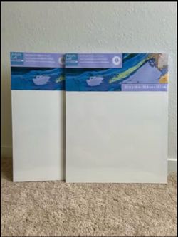 Artist’s Loft 22” x 28” Blank Canvases – NEW & Sealed (2 Pack)