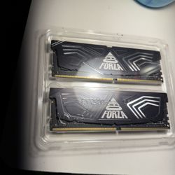 Forza Ddr4 Ram 