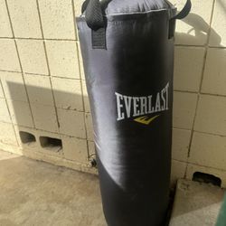 Everlast punching bag - Fairly Unused