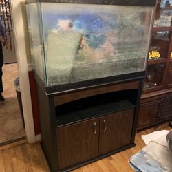 55 Gallon Fish Thank W/stand And Supplies