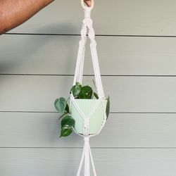 Macrame Double Plant Hanger