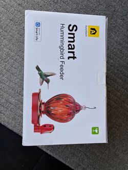 Humming bird feeder w/live feed video