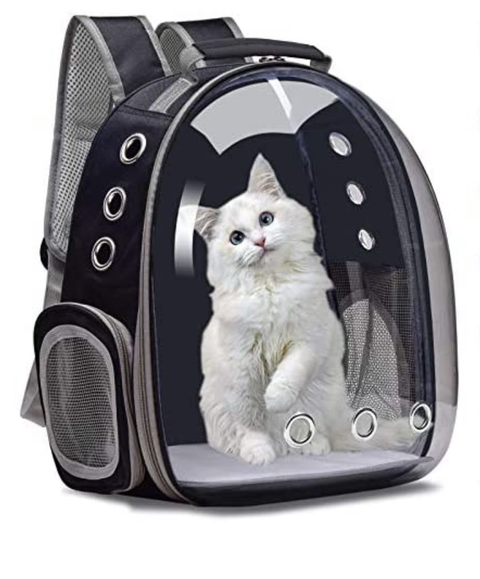 Cat Backpack Or Small Dog