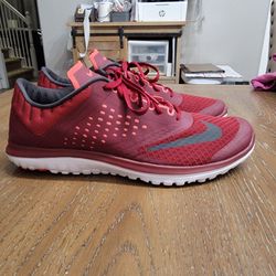 Nike FS Lite run 2