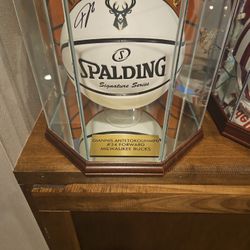 Giannis Antettokounmpo Basketball 