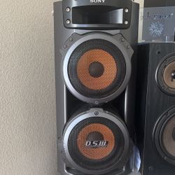 DSW Sony LBT-ZX661 Speakers