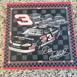 Dale Earnhardt & Dale Jr. NASCAR Collector Frames(Set of 2) – Vintage Racing Decor